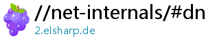 //net-internals/#dns